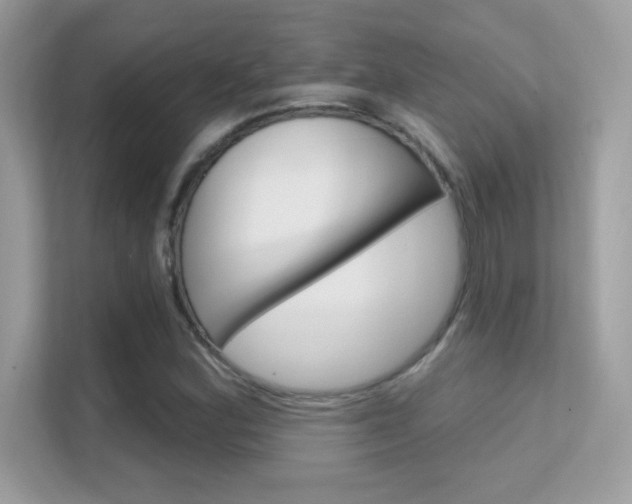 X0000112421164200908141040