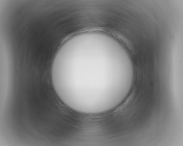 X0000112421169200908141039