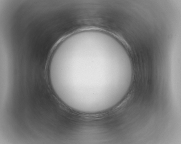 X0000112421173200908141039