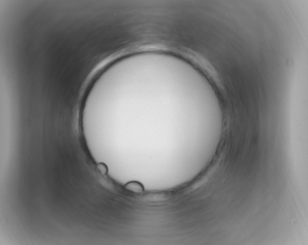 X0000112421174200908141039