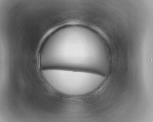 X0000112421175200908141039
