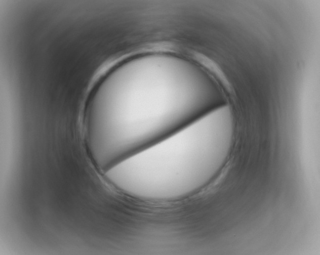 X0000112421176200908141039