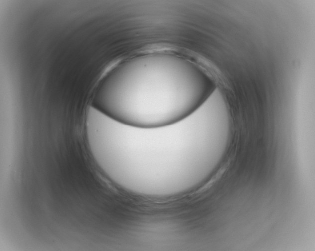 X0000112421177200908141039