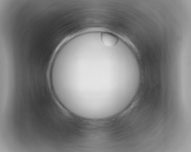 X0000112421181200908141039