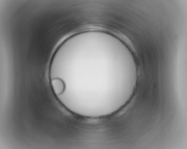 X0000112421182200908141039