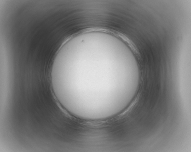 X0000112421185200908141039