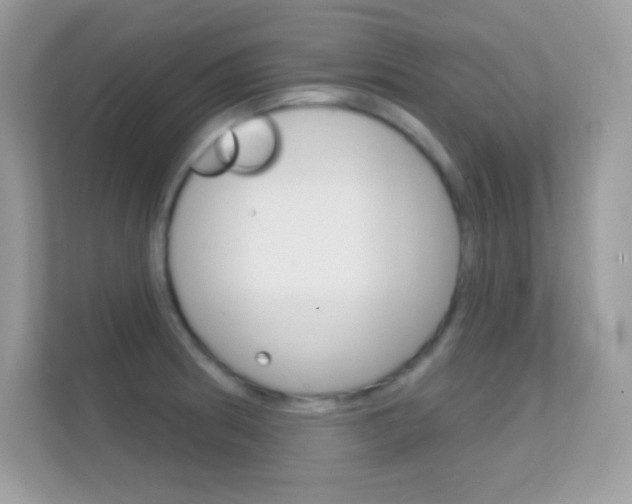 X0000112421186200908141039