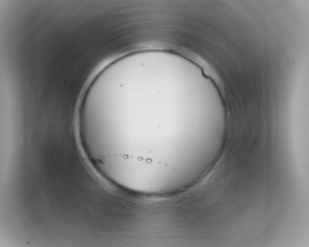 X0000112421187200908141039