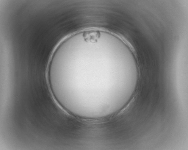 X0000112421189200908141039