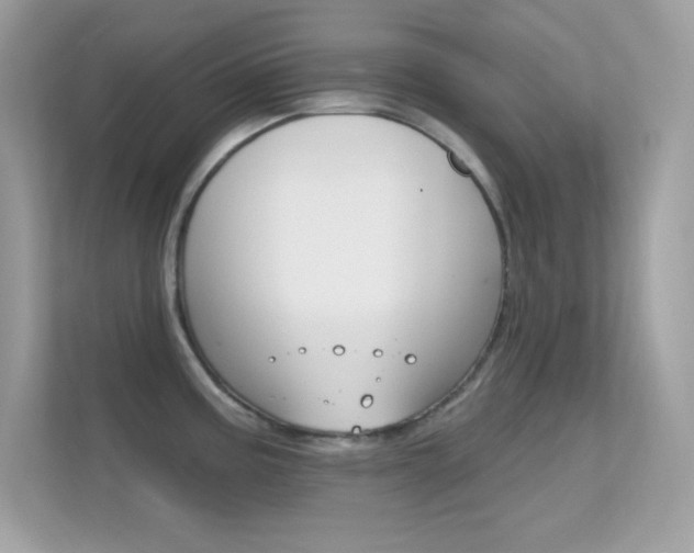 X0000112421195200908141039