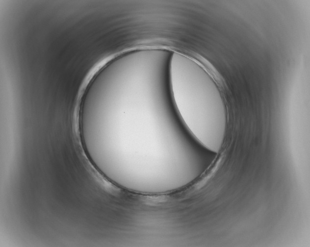 X0000112421196200908141039