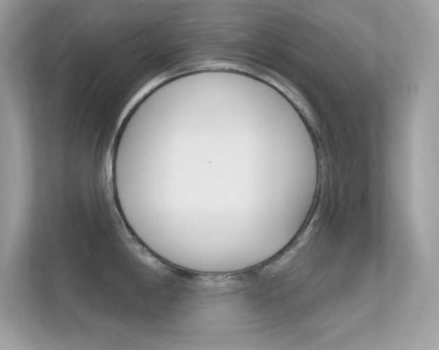 X0000112421198200908141039