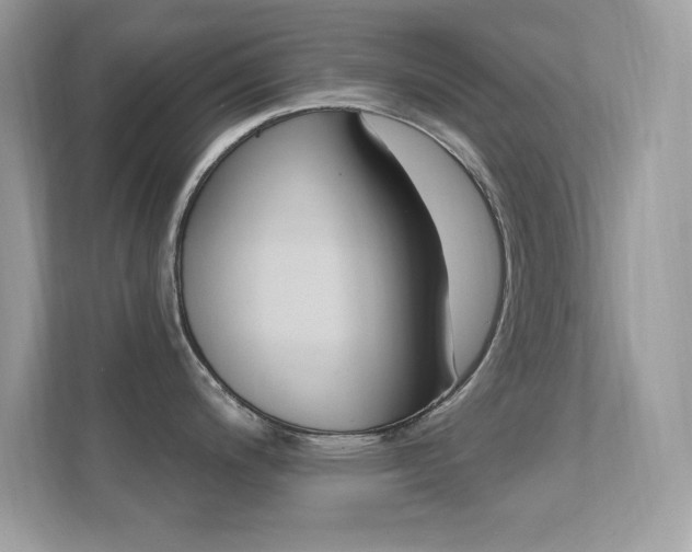 X0000112421200200908141039