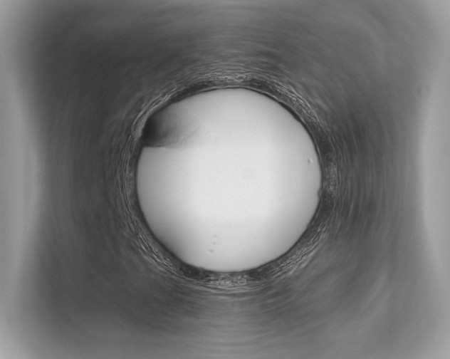 X0000112421201200908141038