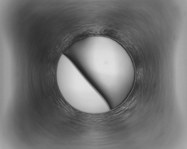 X0000112421202200908141038