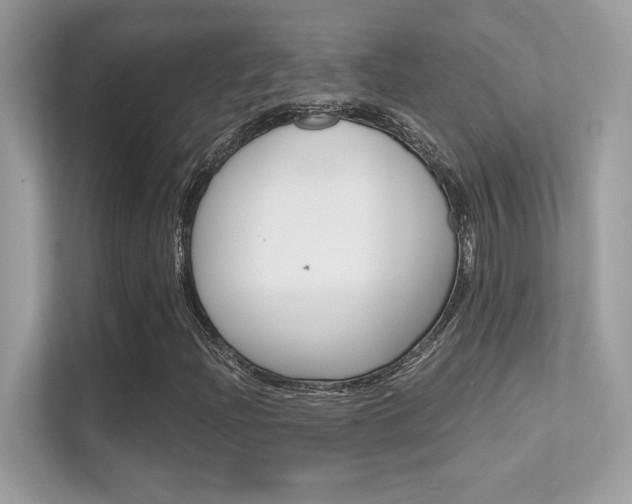 X0000112421204200908141039