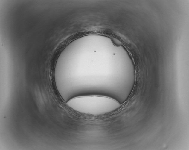 X0000112421206200908141039