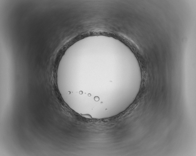 X0000112421207200908141039