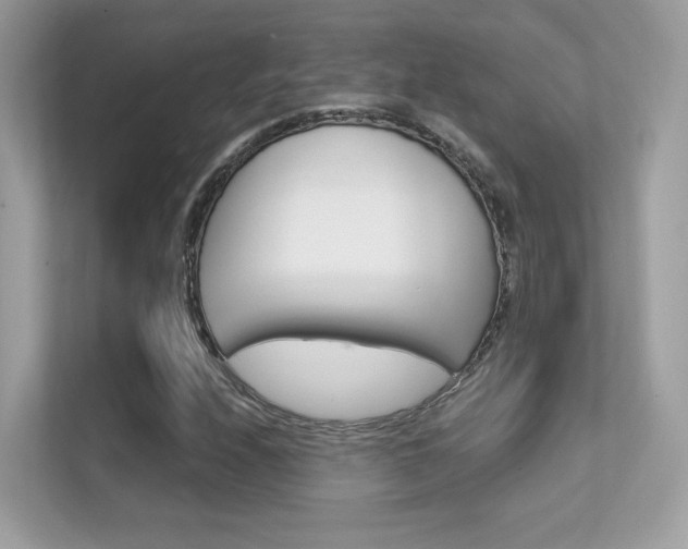 X0000112421208200908141039