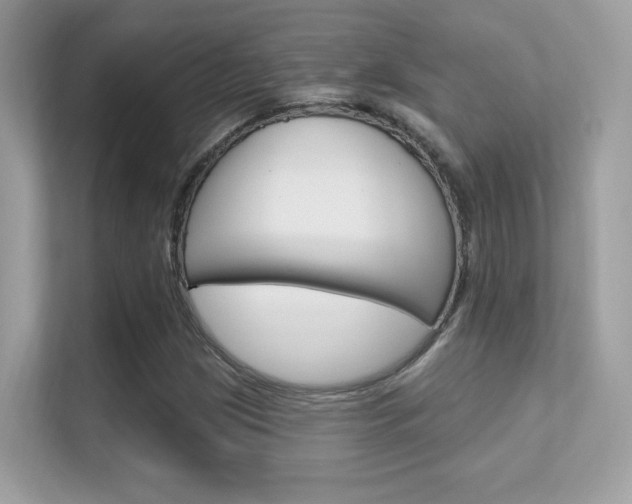 X0000112421209200908141039