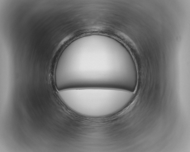 X0000112421210200908141039
