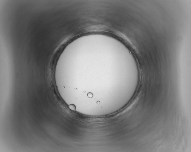 X0000112421211200908141039