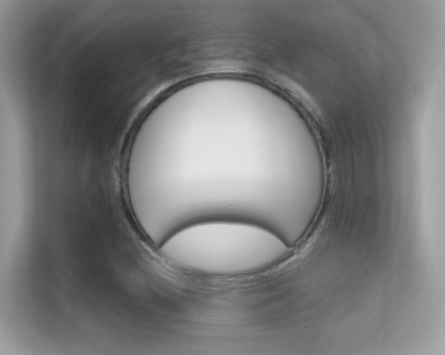 X0000112421212200908141039