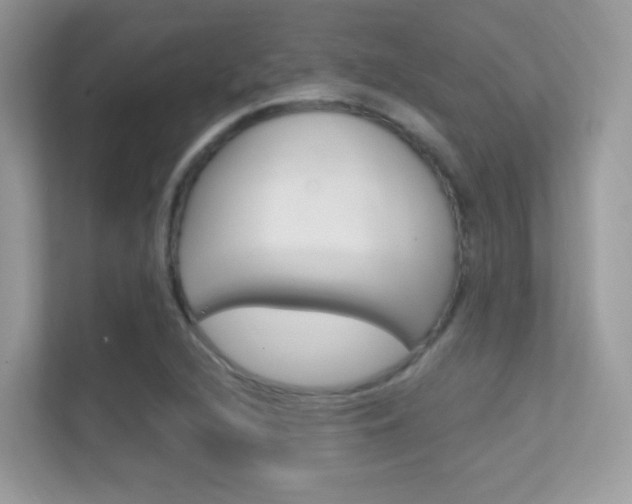 X0000112421216200908141039