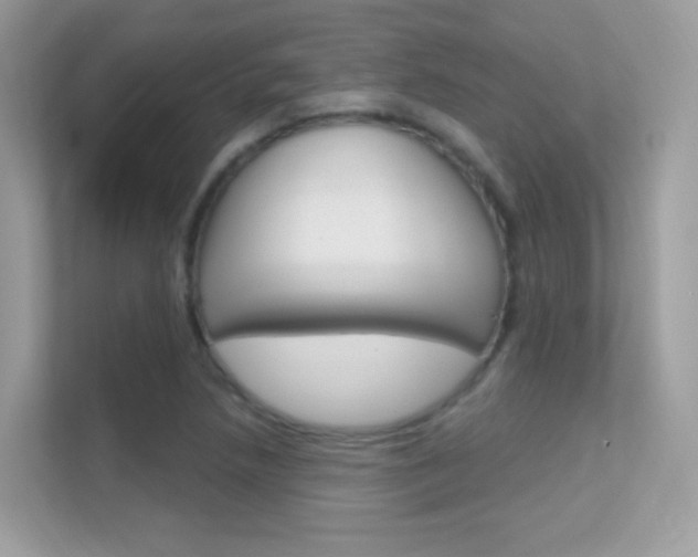 X0000112421218200908141039