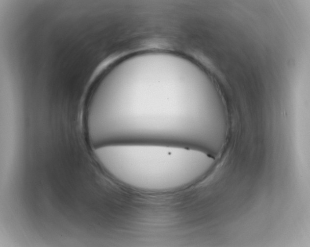 X0000112421222200908141039