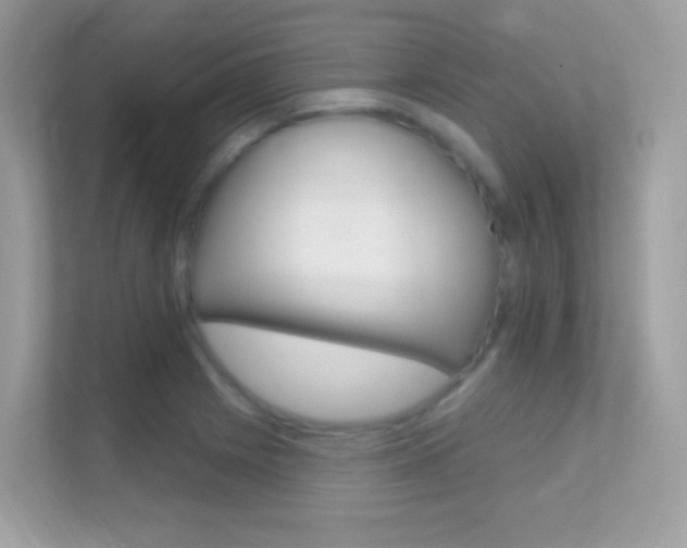 X0000112421225200908141039