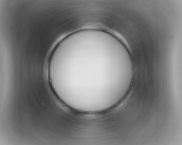 X0000112421227200908141039