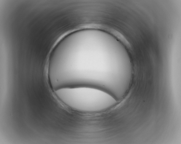 X0000112421228200908141039