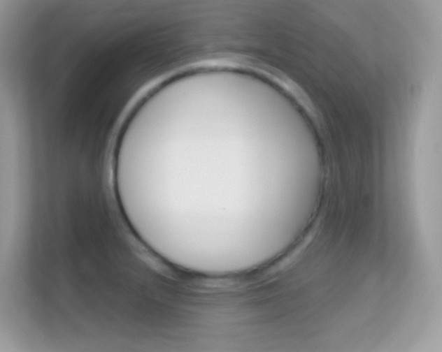 X0000112421232200908141039