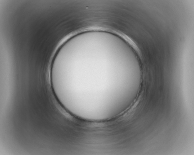 X0000112421238200908141039