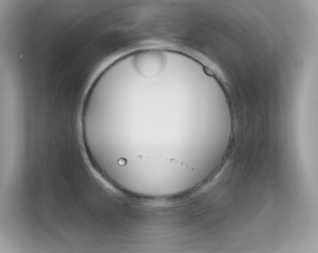 X0000112421239200908141039