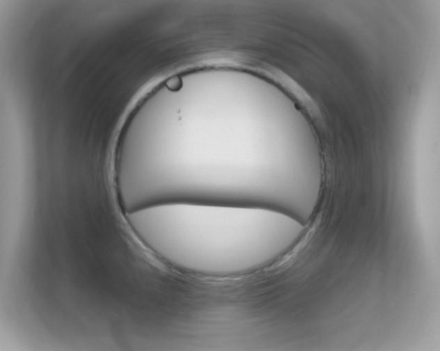 X0000112421240200908141039