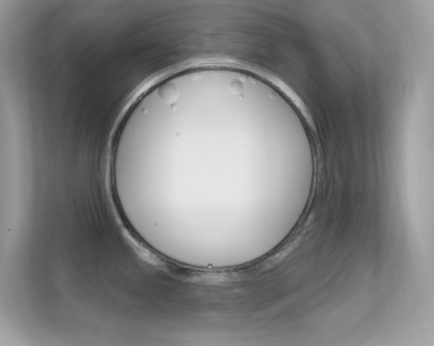 X0000112421245200908141039