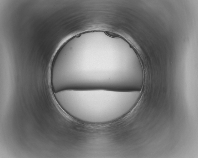 X0000112421246200908141039