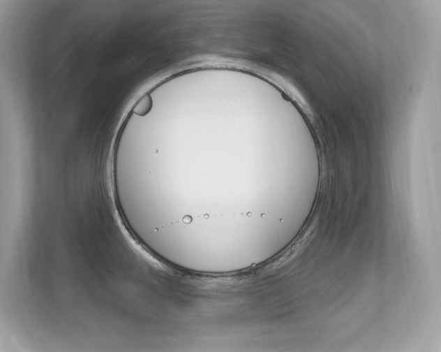 X0000112421247200908141039