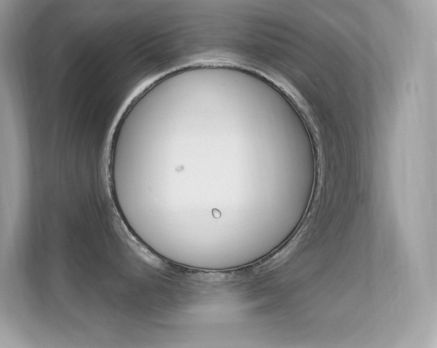 X0000112421248200908141039