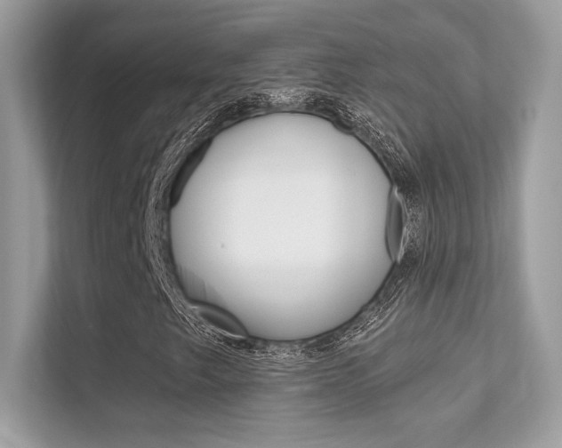 X0000112421249200908141038
