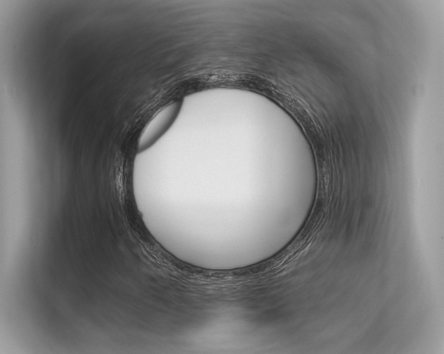 X0000112421250200908141038