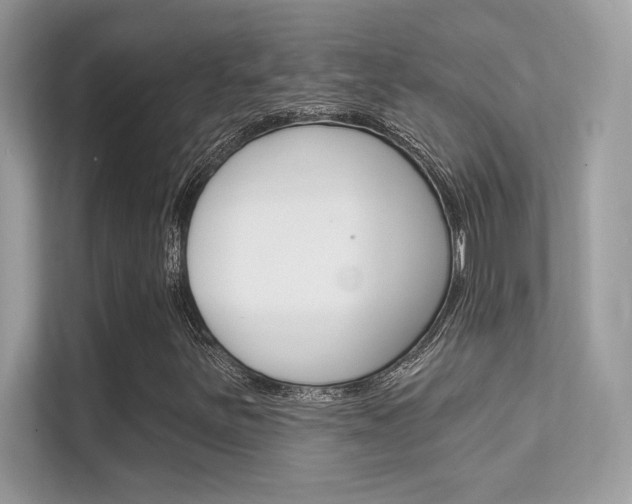 X0000112421251200908141038