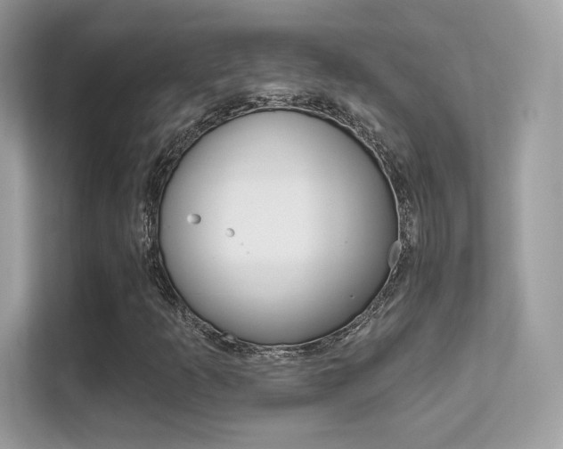 X0000112421253200908141038