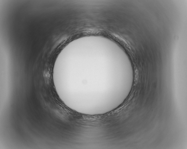 X0000112421254200908141038