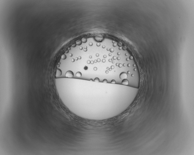 X0000112421255200908141038