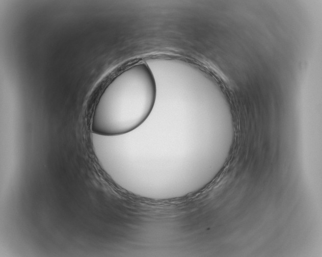 X0000112421256200908141038