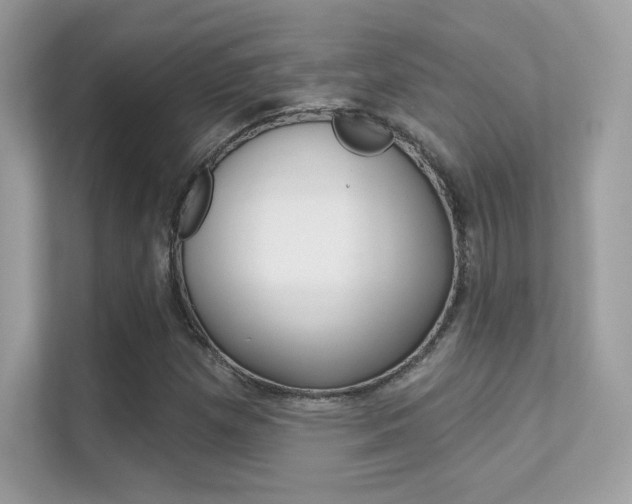 X0000112421257200908141038