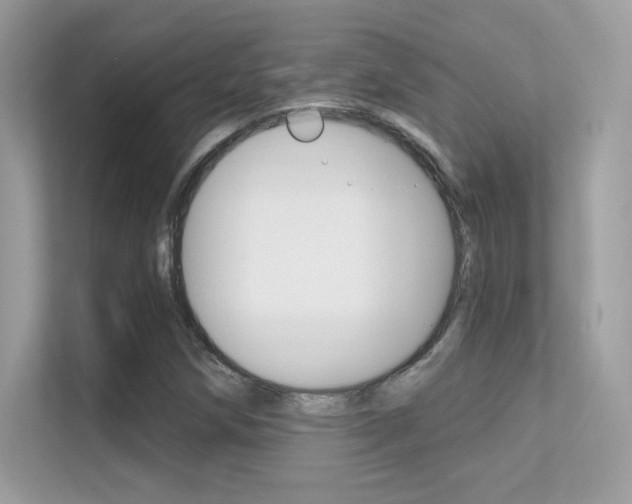 X0000112421258200908141038